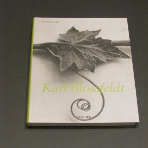 Blacksmith design ideas book for
sale Karl Blossfeldt
