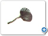 Sample Forged Ginko Leaf