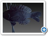 Fish2-cropped-gradient-jpg